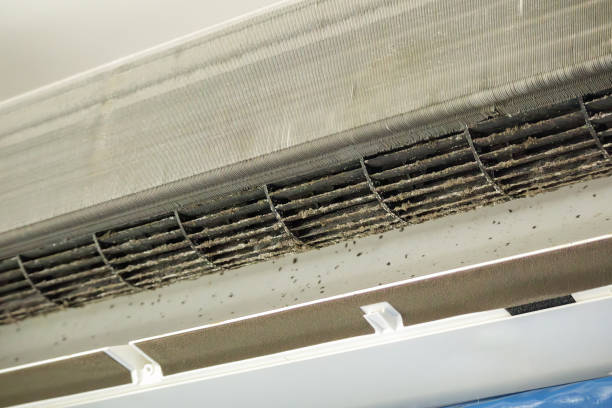 Best Professional Duct Cleaning Services  in Hettinger, ND